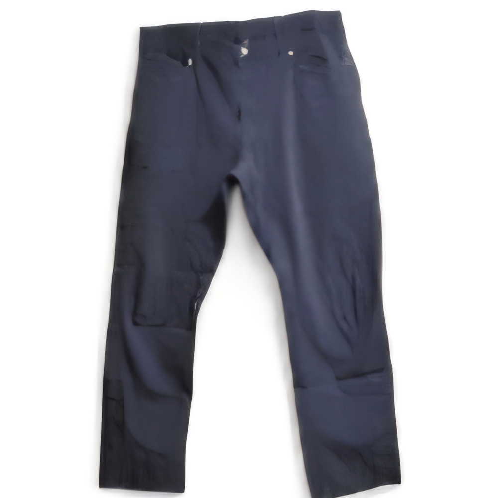 The North Face Men's Dark Blue Chinos